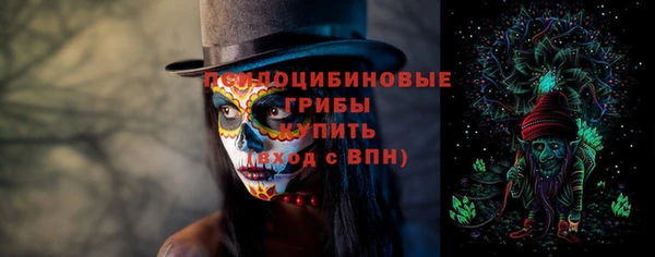 крисы Алзамай