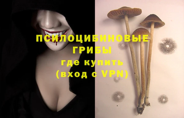 крисы Алексеевка