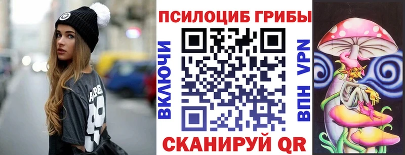 blacksprut зеркало  Ахтубинск  Псилоцибиновые грибы Magic Shrooms 