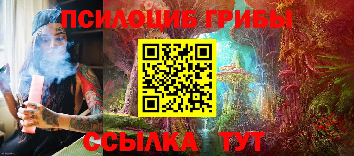 Галлюциногенные грибы прущие грибы Ахтубинск