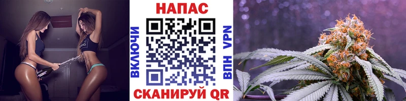 МАРИХУАНА конопля Ахтубинск
